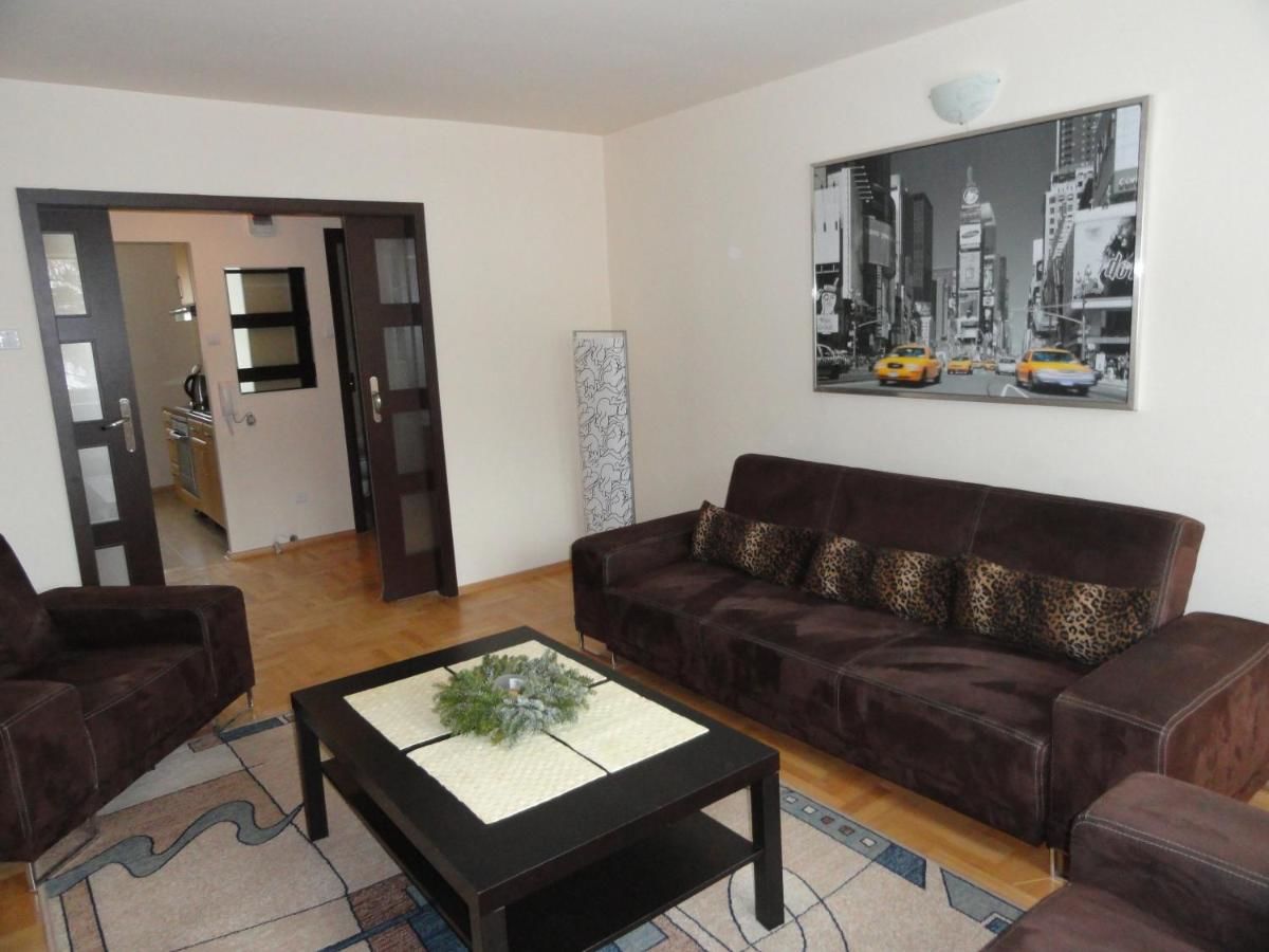 Апартаменты Apartament Czarny Potok Крыница-Здруй-4