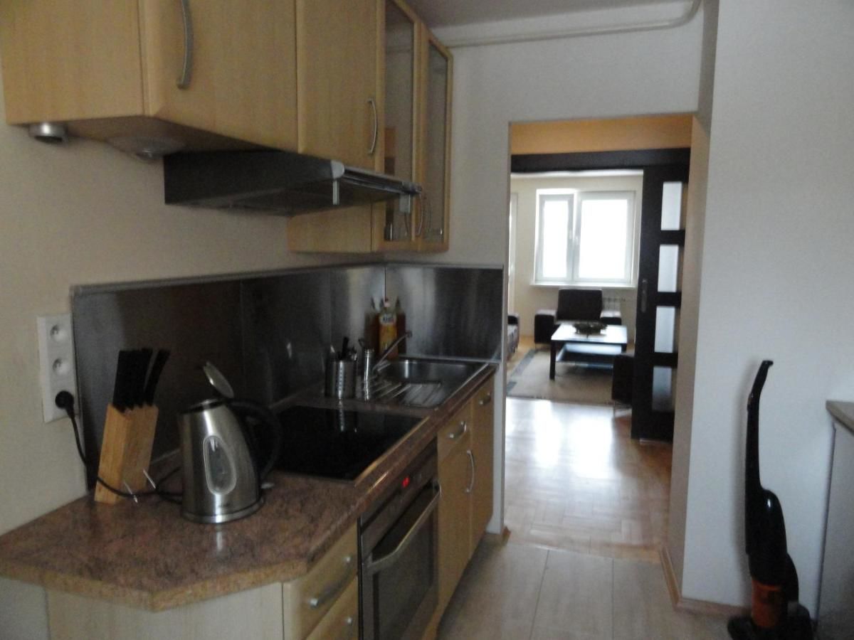 Апартаменты Apartament Czarny Potok Крыница-Здруй-16